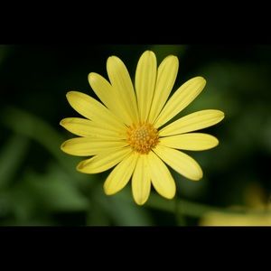 Meet your Posher, Jyoti